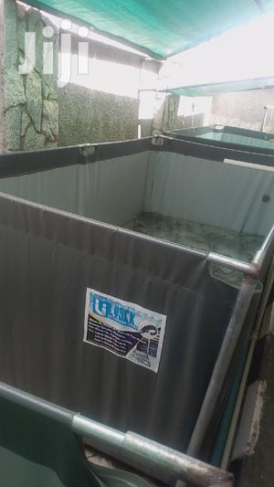 Lysek Fish Pond Construction