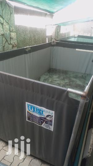 Lysek Fish Pond Construction