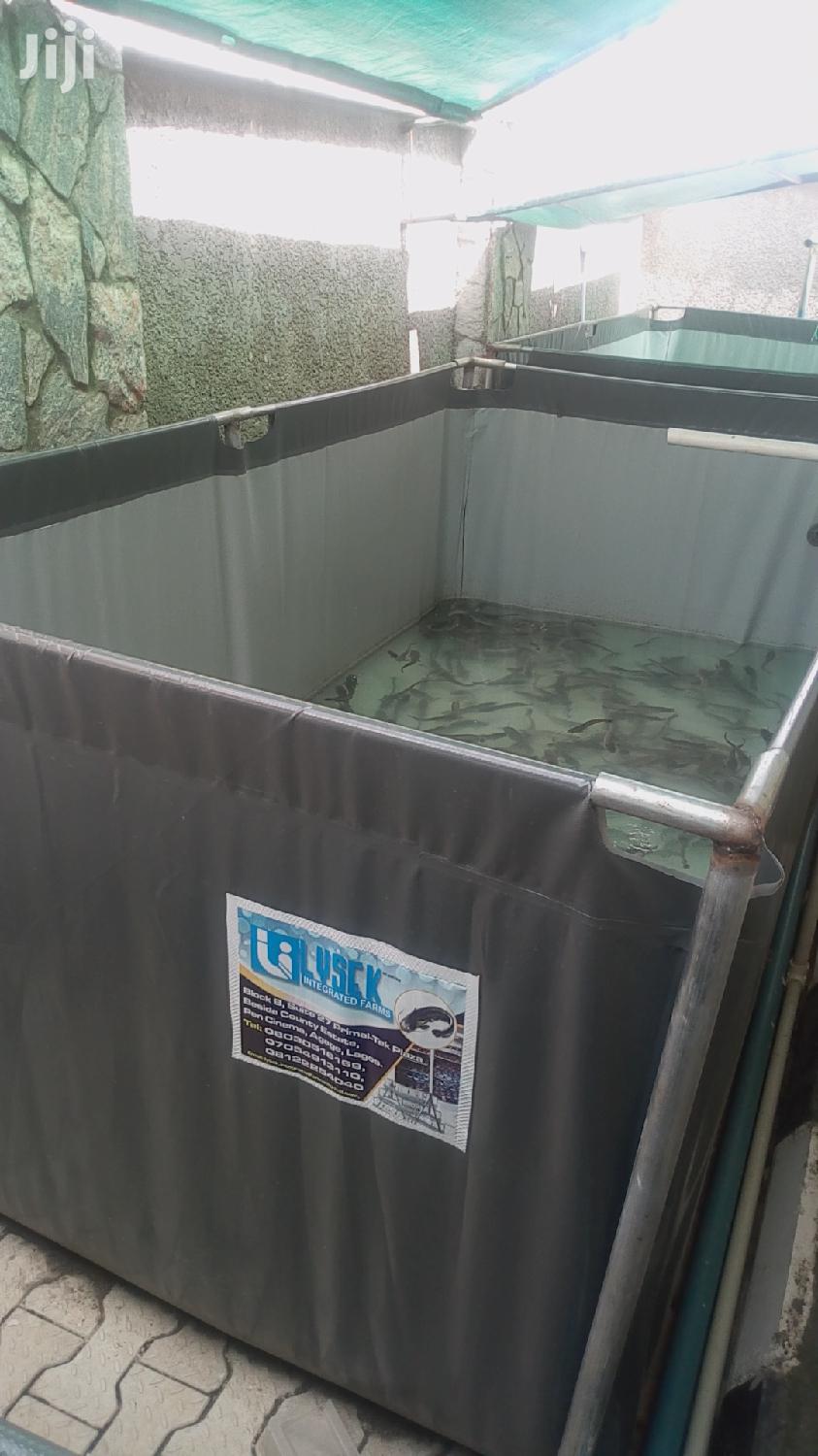 Lysek Fish Pond Construction