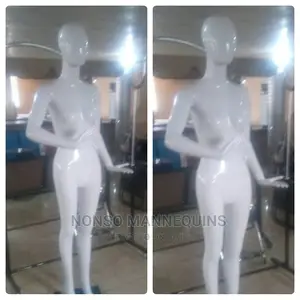 White Fibre Glossy Female Abstract Face Mannequin Display