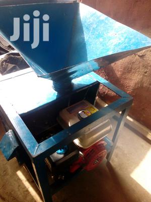 Mellon Peeling Machine