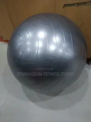 Gym Exercise Ball