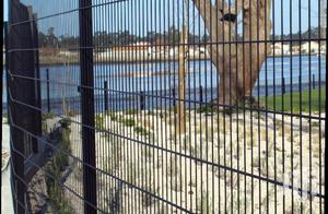 Electric Perimeter Fencing System
