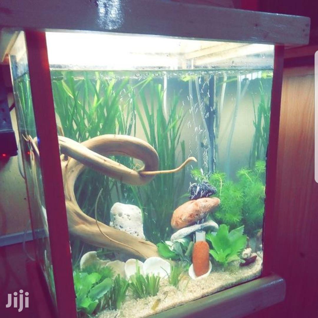 Aquarium Tank