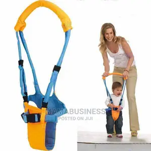 Handheld Baby Walker