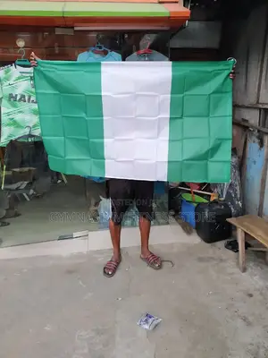 Nigeria Flag 4523