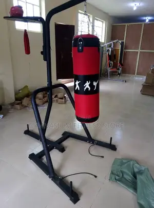 Boxing Bag With Stand Imported