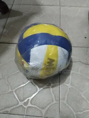 Mikasa Volleyball X678