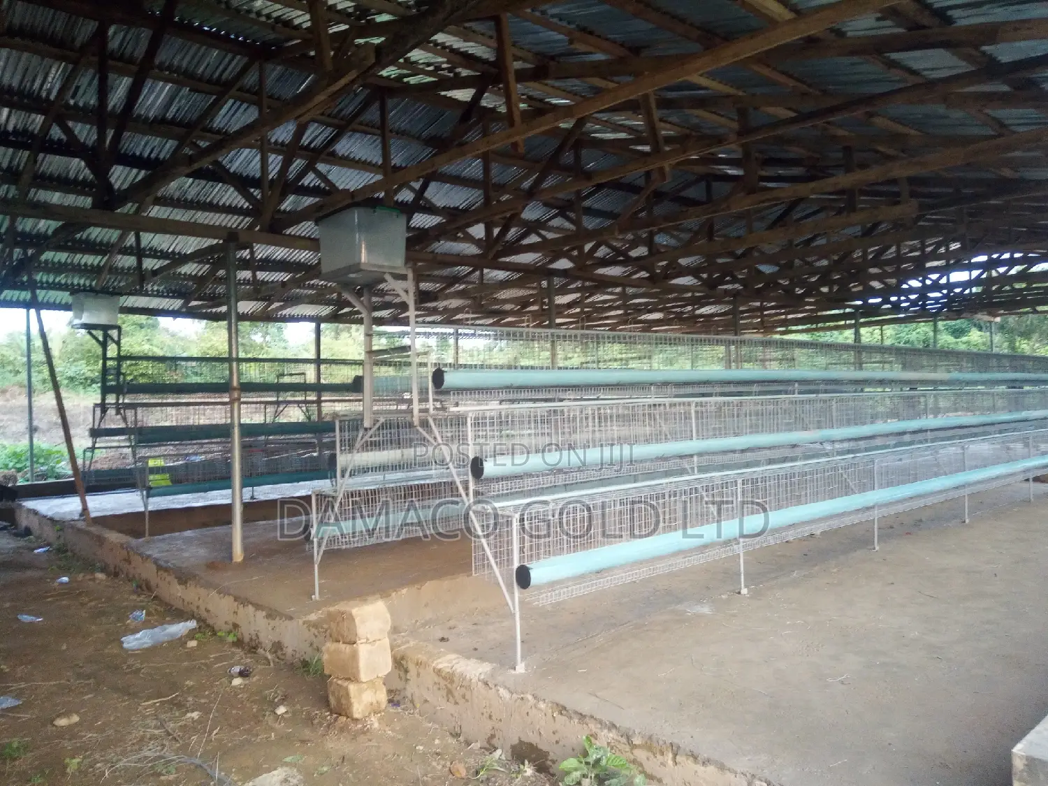 Quality Battery Cage
