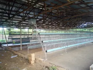Quality Battery Cage