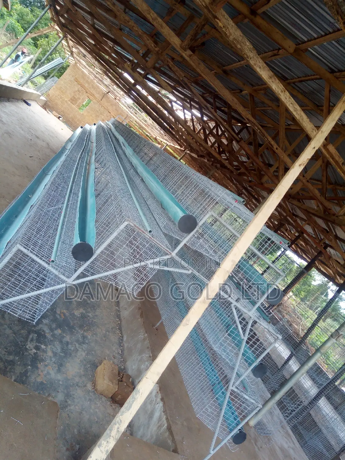 Quality Battery Cage