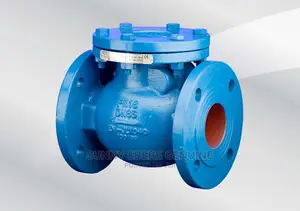 Ductile Iron BS5153 Non Return Valve Dn100,Pn16, NRV