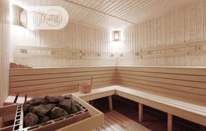 American Fitness Sauna 2 Users Brand New