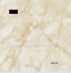 60/60 Floor Tiles2