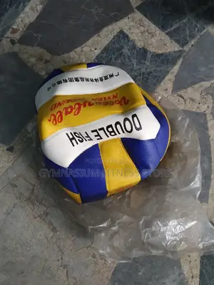 Double Fish Volleyball