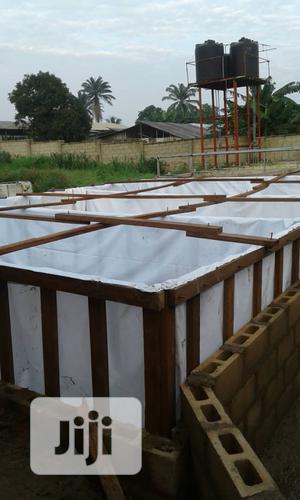 Pond For Fish Farming