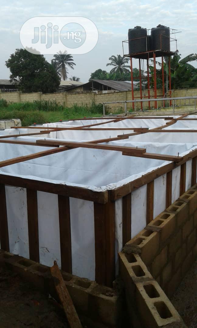 Pond For Fish Farming