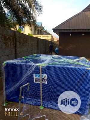 Pond For Fish Farming