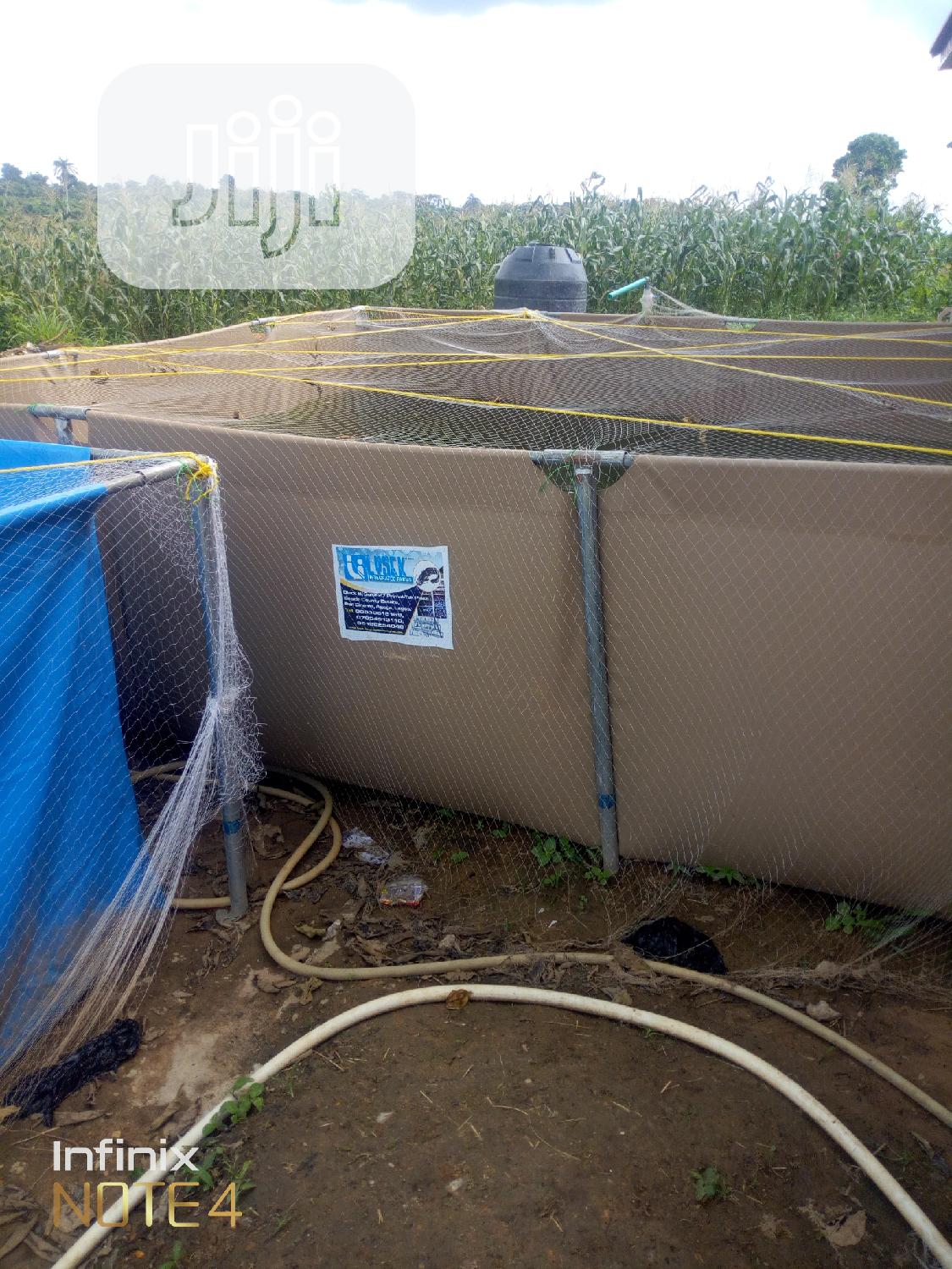 Pond For Fish Farming