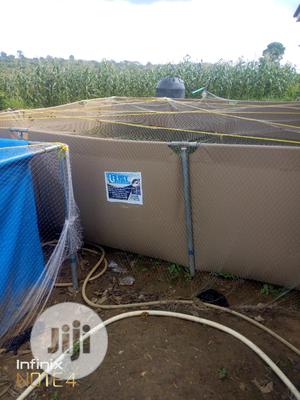 Pond For Fish Farming