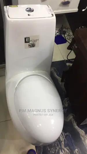 England Standard Masters Water Closet Wc Complete