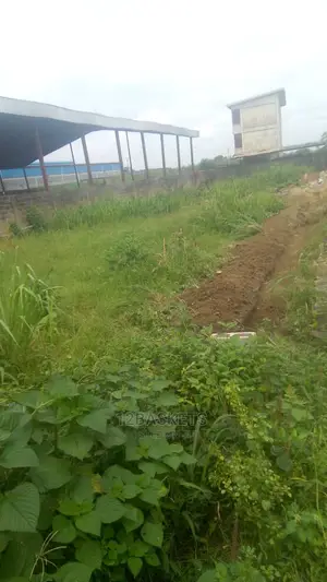 Half Plot of Land at Praisehill Estate, Arepo