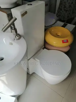 Newage Executive Ceramic Watercloset.