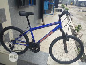 Roadmaster Teenager's Bicycle