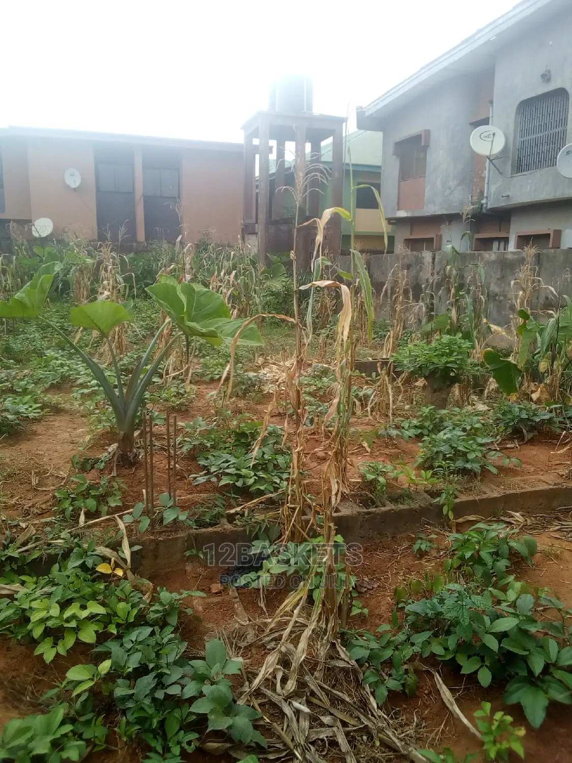 Complete Half Plot at Alagbole