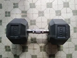 Pair Of 12.5kg Hex Dumbbell 660