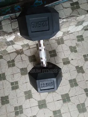 Pair Of 12.5kg Hex Dumbbell 660