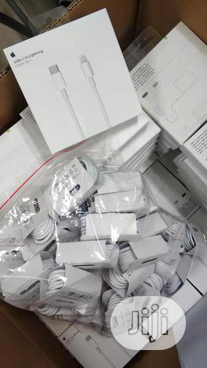 USB-C to Lightning Cable (2 M)