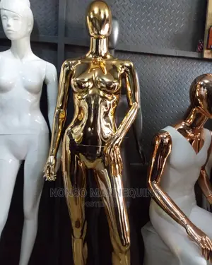 Male & Female Chrom Gold New Models Display