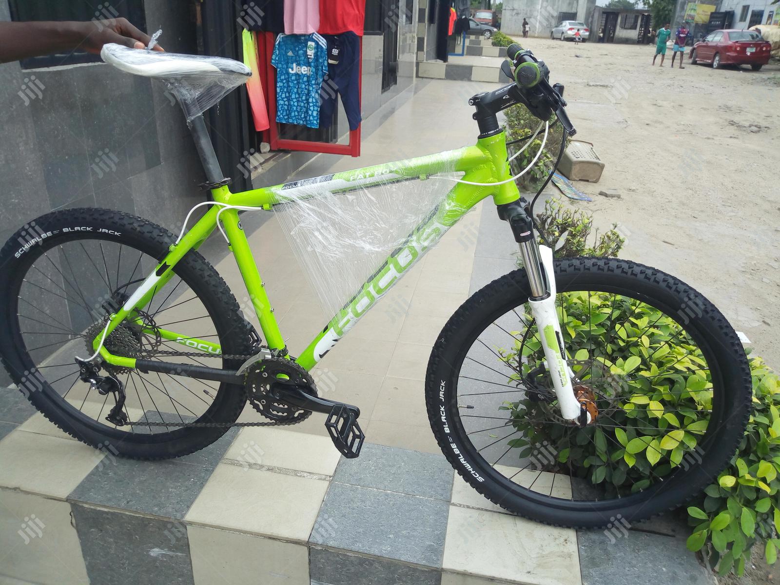 Focus Hydraulics Sport Bicycle