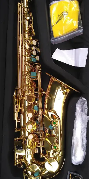 Atlantic Pro Saxophone