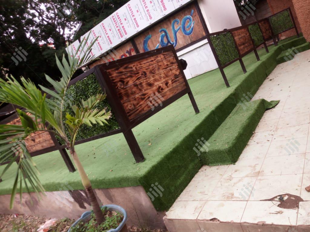 High Quality Artificial Grass at City Park Abuja.(FREE INSTA