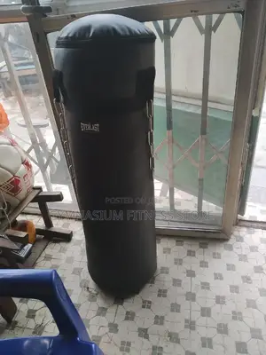 Punching Bag 8