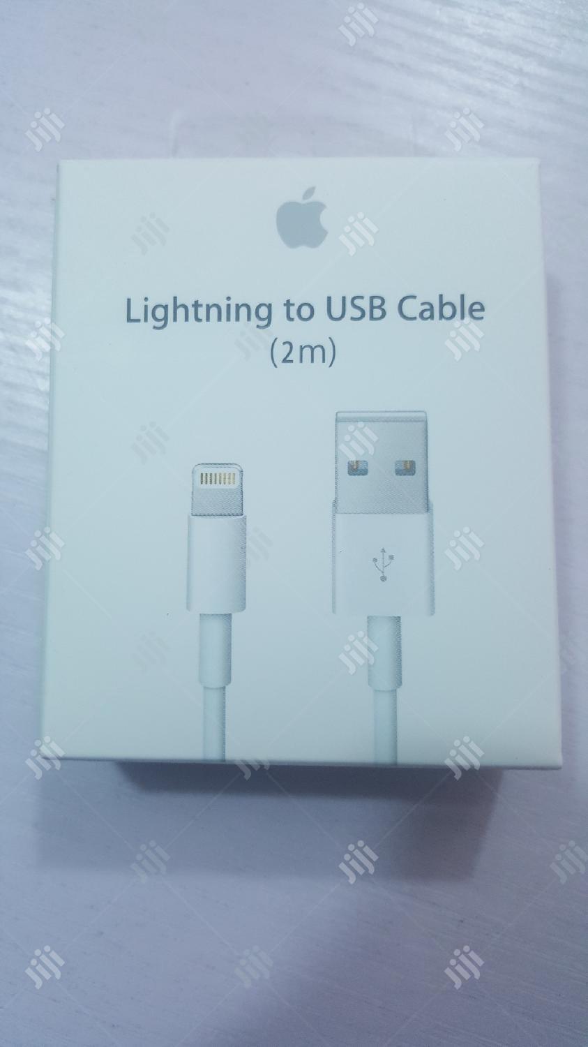 Apple Magnetic 2M Cable