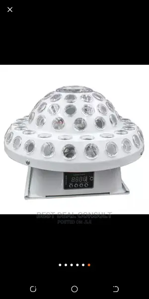 Mushroom Magic Ball Light For Sale