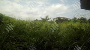 2 and Half Plot of Land Beside Indomie