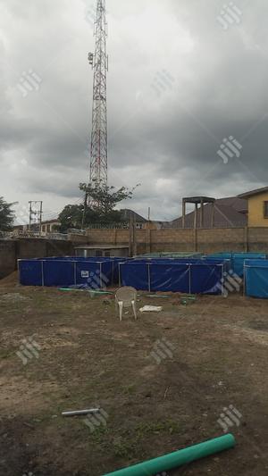 Fish Pond Construction