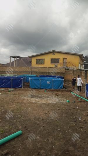 Fish Pond Construction
