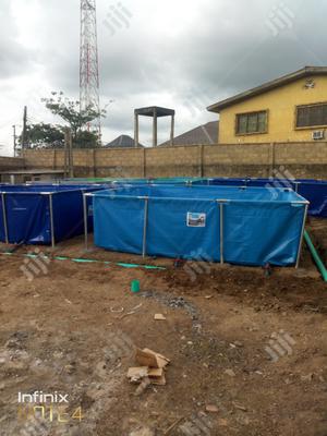 Fish Pond Construction