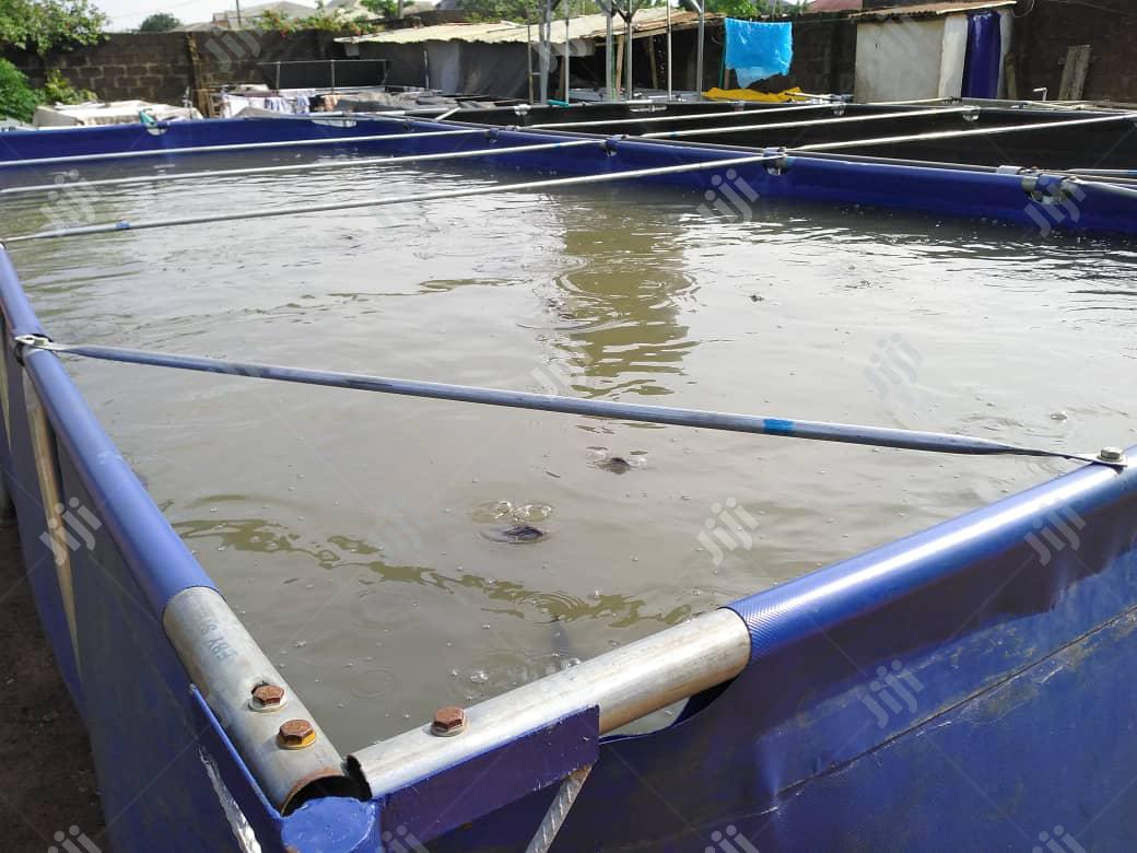 Fish Equipment Providers