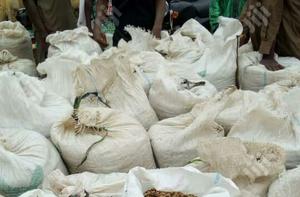 Bright Growers and Weaners Pig Feed
