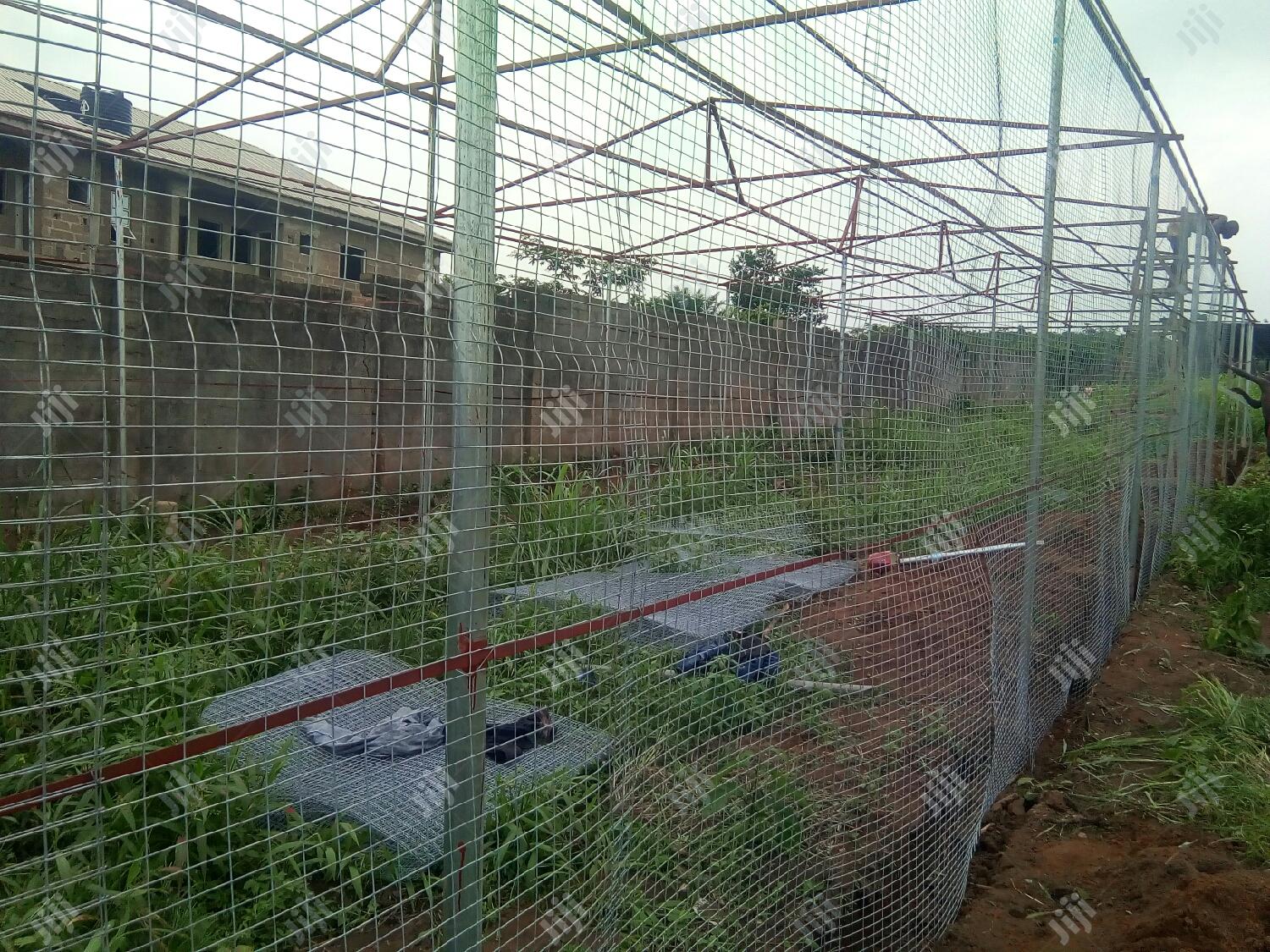 Green House
