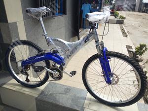 Nerve Big Suspension Sport Bicycle