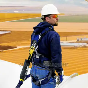 Safety Instinct And Safety Priorities