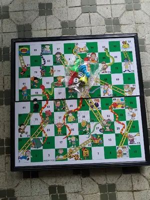 Snake and Ladder Game 551