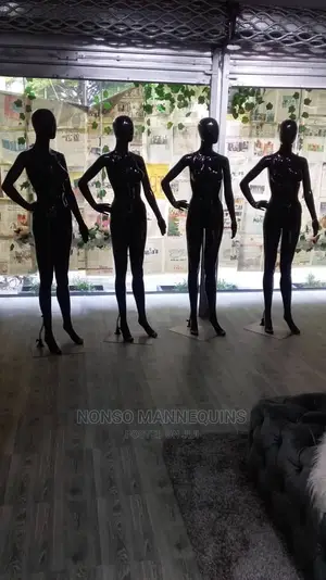 Fashion Display Modelsss NEW
